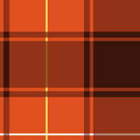 Orange1 tartan check03 texture pattern vector data