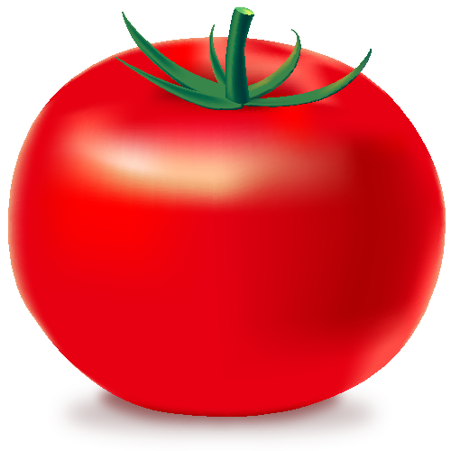 RED TOMATO Icon(Vegetable) | SVG(VECTOR):Public Domain | ICON PARK