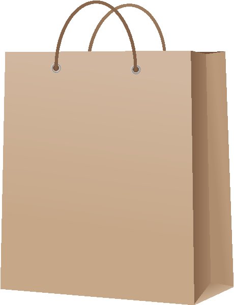 PAPER BAG BROWN vector icon