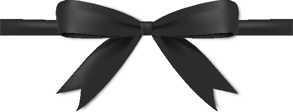 Black Bow Ribbon Icon Vector Data