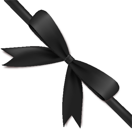 Black Bow Ribbon Icon2 Vector Data