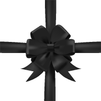 Black Bow Ribbon Icon3 Vector Data