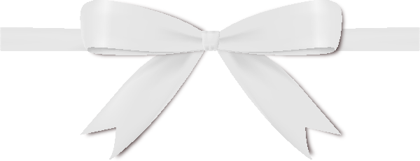 White Bow Ribbon Icon Vector Data