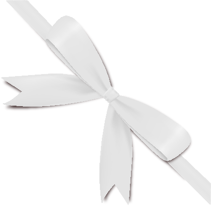 White Bow Ribbon Icon2 Vector Data