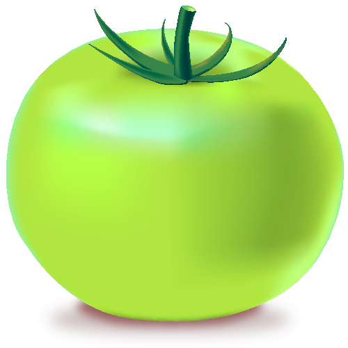 GREEN TOMATO Icon(Vegetable)